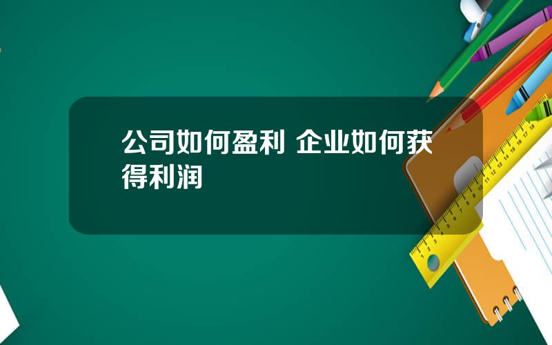 公司如何盈利 企业如何获得利润